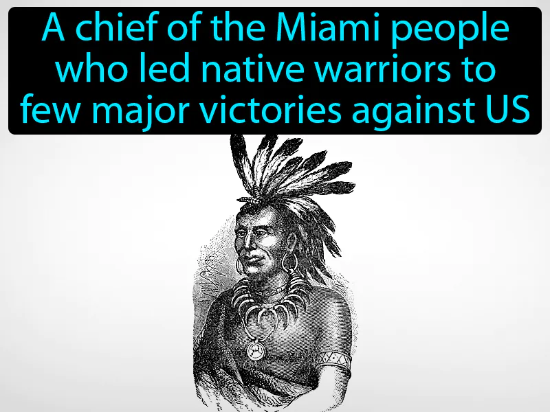 Little Turtle Definition