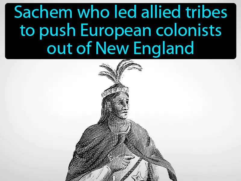 Metacomet Definition