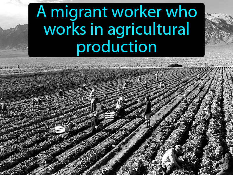 Migrant Farmworker Definition