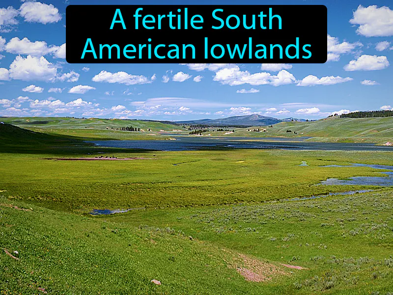 Pampas Definition Pampas Definition