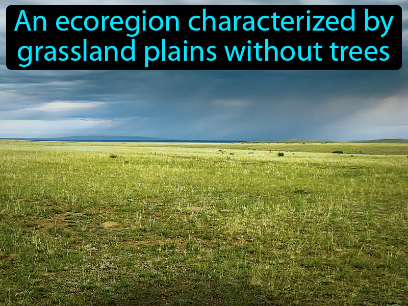 Steppe Definition Steppe Definition