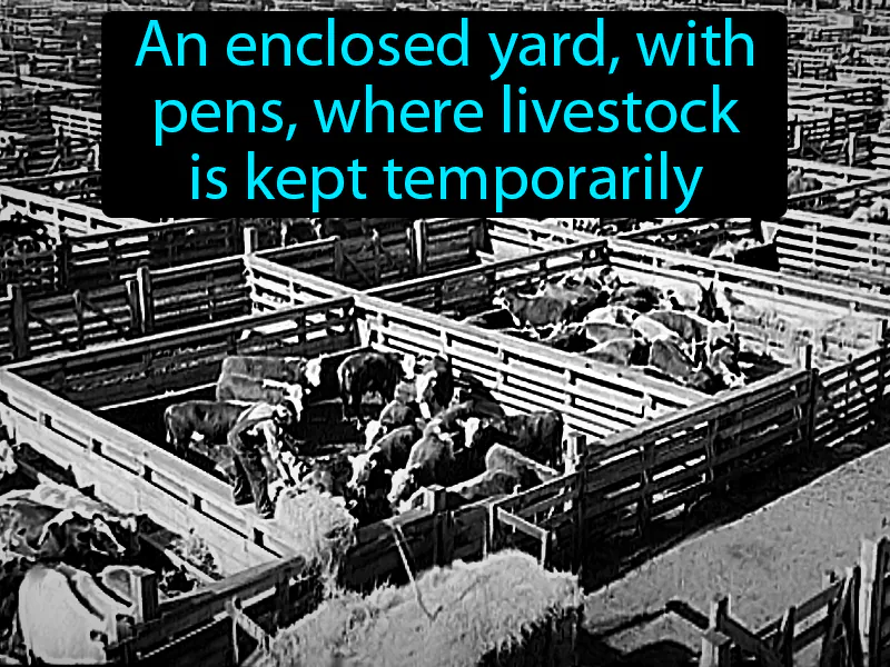 Stockyards Definition