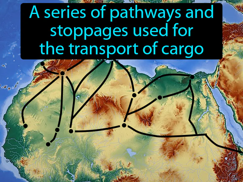 Trade Network Definition