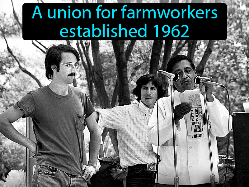 United Farm Workers Definition United Farm Workers Definition