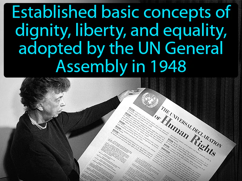 Universal Declaration Of Human Rights Definition Universal Declaration Of Human Rights Definition