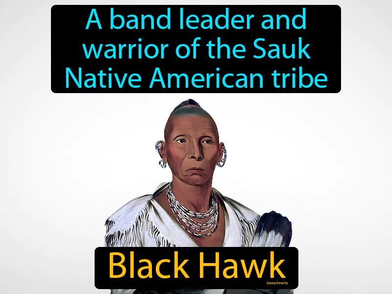 Black Hawk Definition Black Hawk Definition
