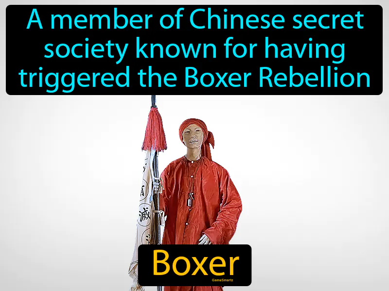 Boxer Definition Boxer Definition