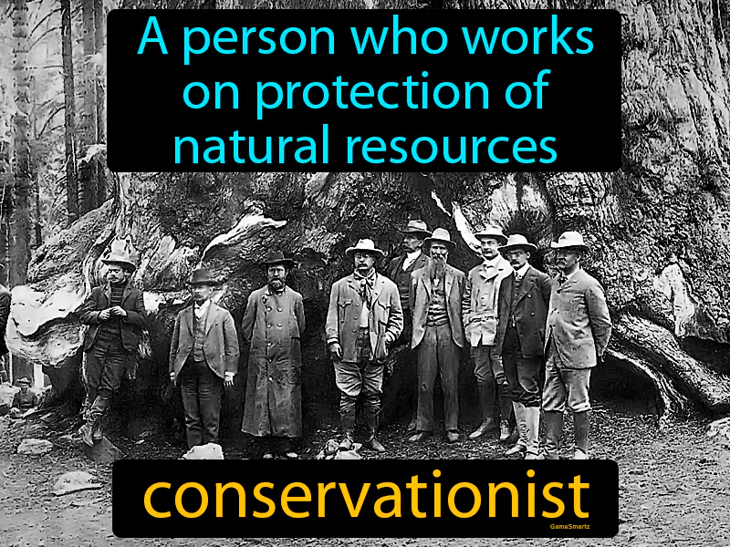 Conservationist Definition Conservationist Definition