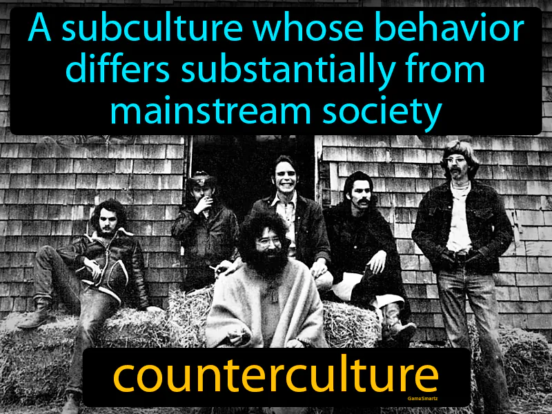 Counterculture Definition Counterculture Definition