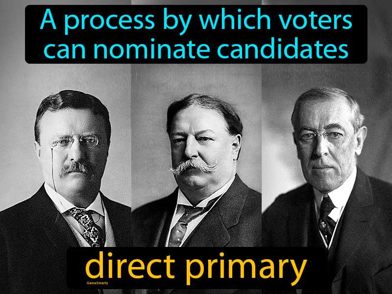 Direct Primary Definition Direct Primary Definition