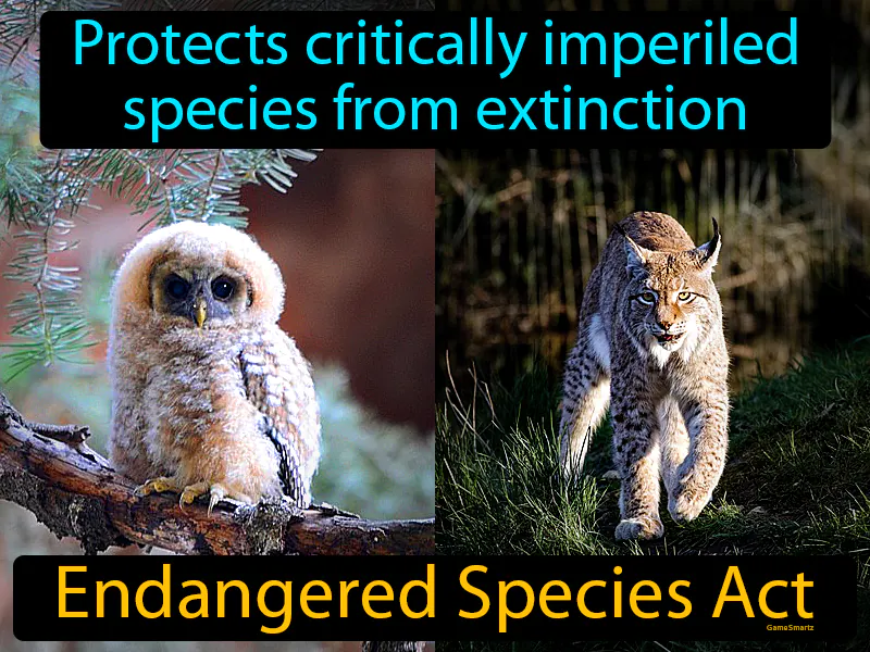 Endangered Species Act Definition Endangered Species Act Definition