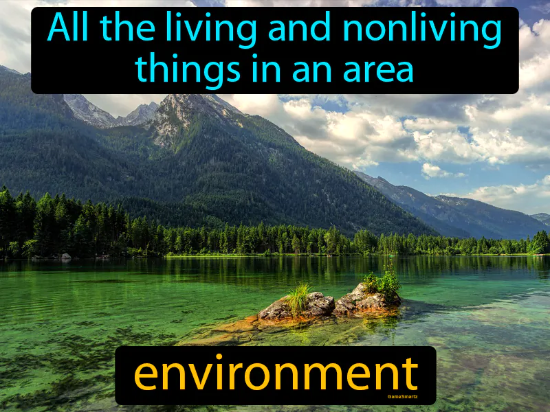 Environment Definition Environment Definition