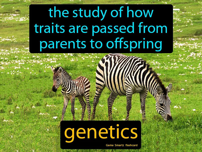 Genetics Definition Genetics Definition