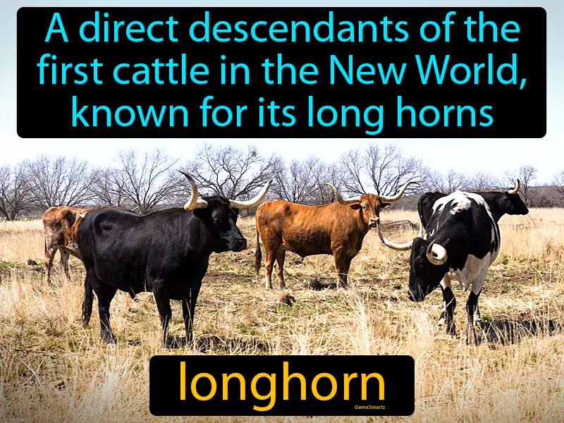 Longhorn Definition Longhorn Definition