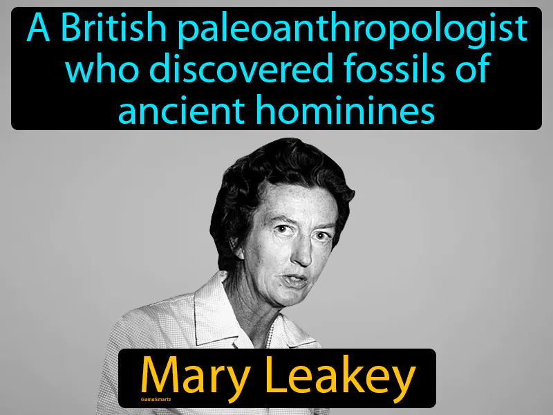 Mary Leakey Definition Mary Leakey Definition