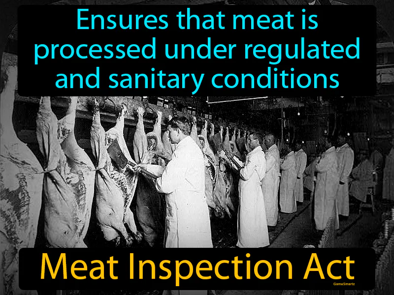 Meat Inspection Act Definition Meat Inspection Act Definition