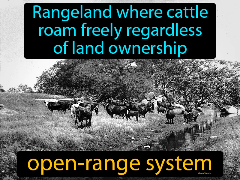 Open Range System Definition Open Range System Definition