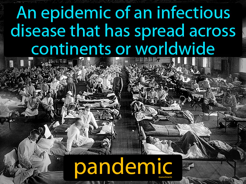Pandemic Definition Pandemic Definition