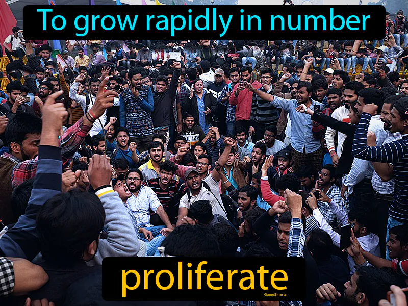 Proliferate Definition Proliferate Definition
