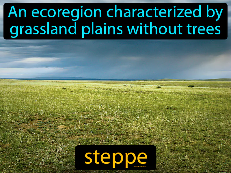 Steppe Definition Steppe Definition