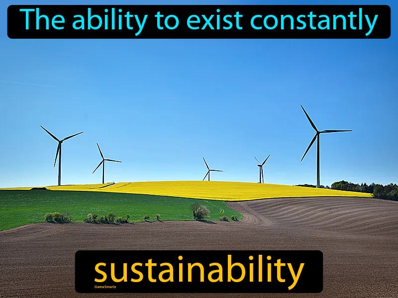 Sustainability Definition Sustainability Definition
