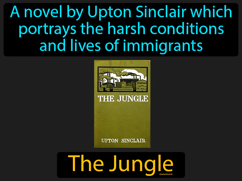 The Jungle Definition The Jungle Definition