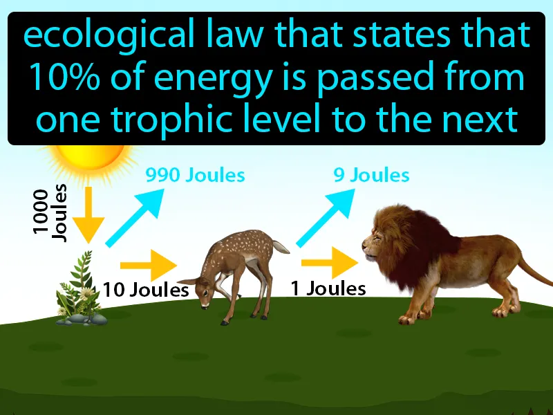 10 Percent Rule Definition