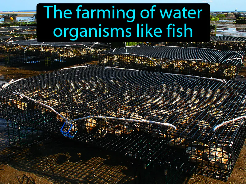 Aquaculture Definition