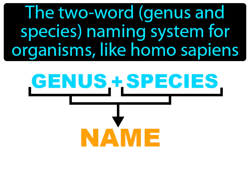 Binomial Nomenclature Definition
