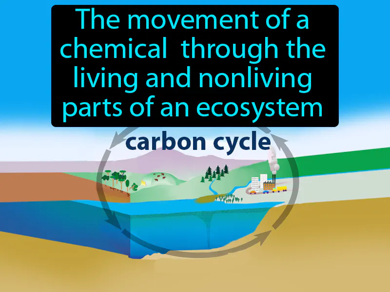 Biogeochemical Cycle Definition