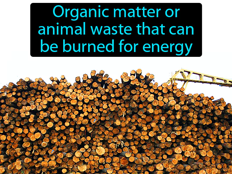 Biomass Definition