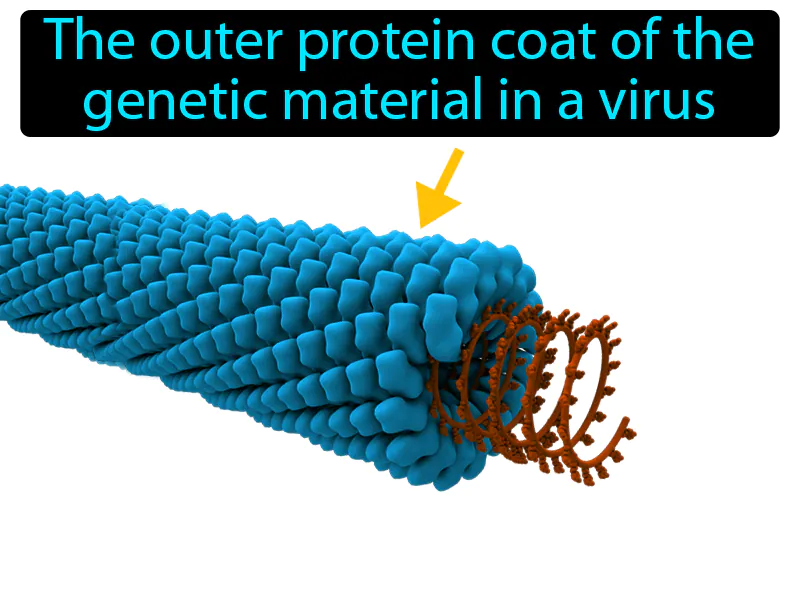 Capsid Definition