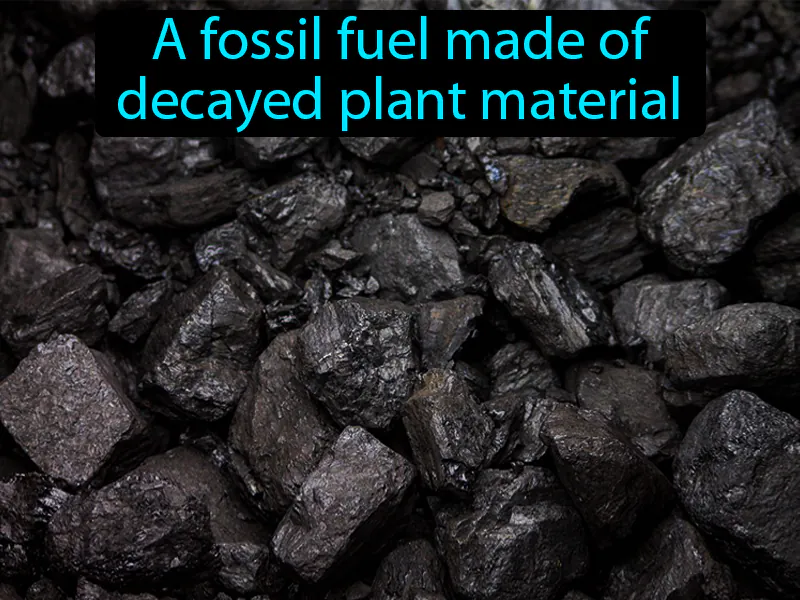Coal Definition