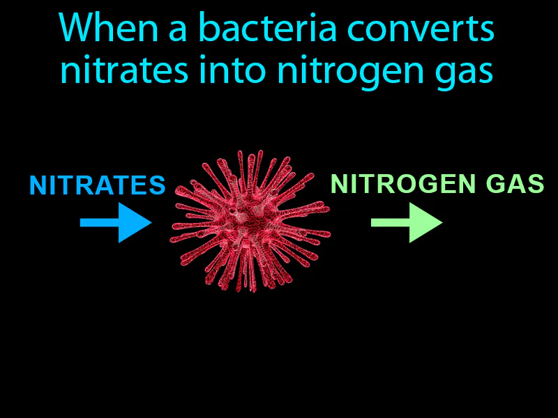 Denitrification Definition Denitrification Definition