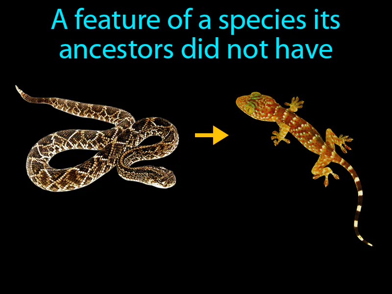 Derived Character Definition