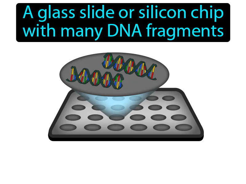 DNA Microarray Definition
