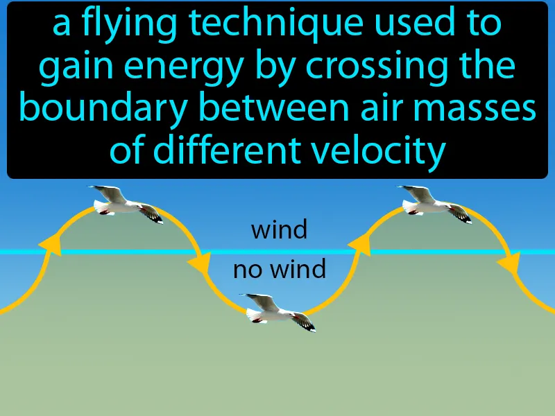 Dynamic Soaring Definition
