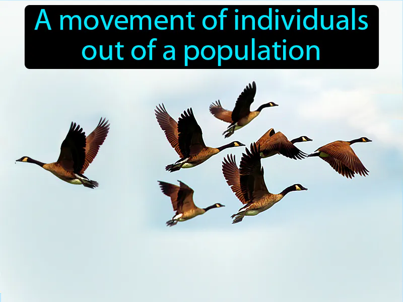 Emigration Definition