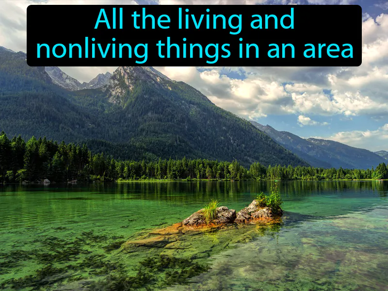 Environment Definition