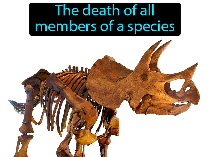 Extinction Definition