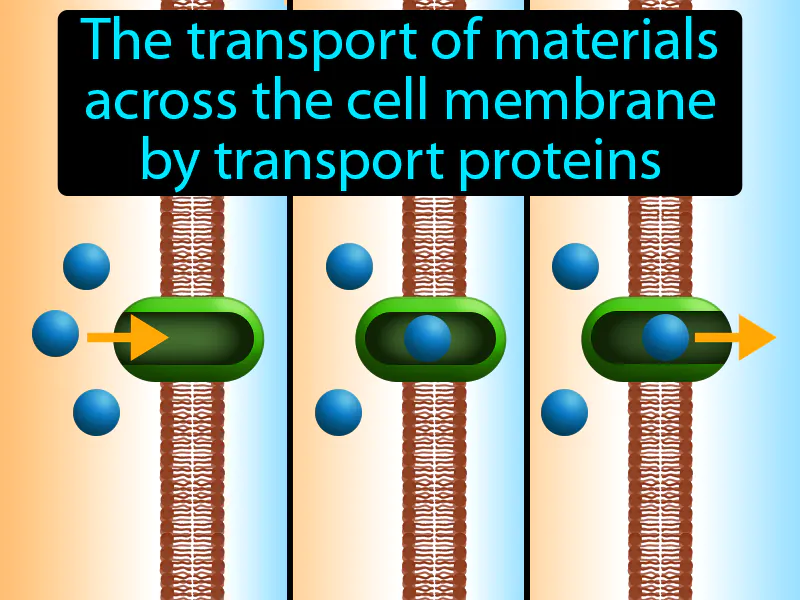 Facilitated Diffusion Definition