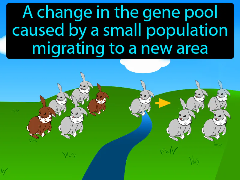 Founder Effect Definition