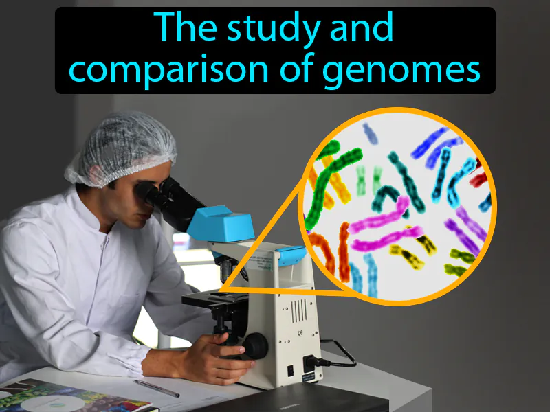 Genomics Definition