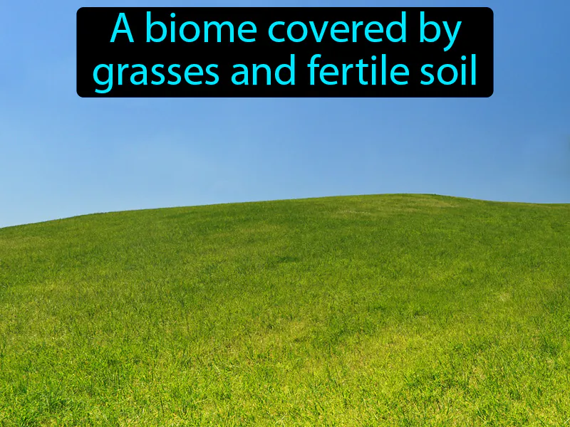 Grassland Definition