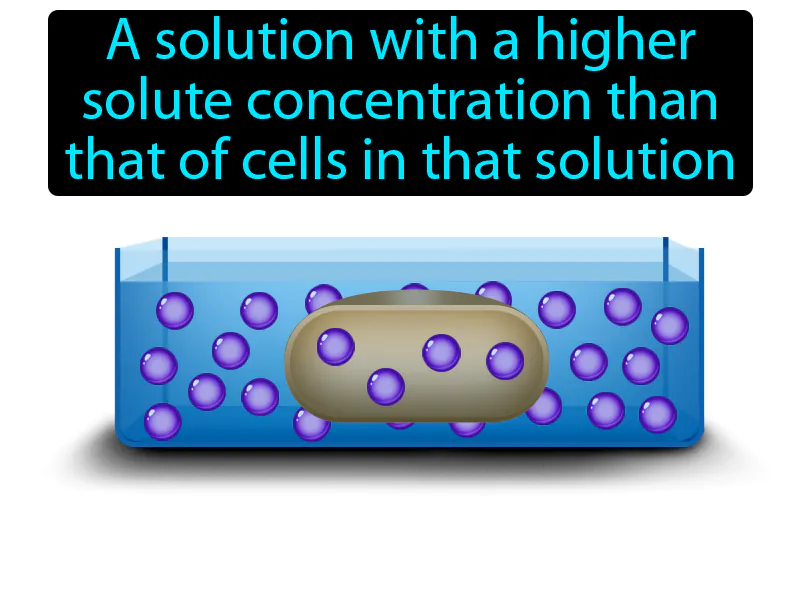 Hypertonic Solution Definition