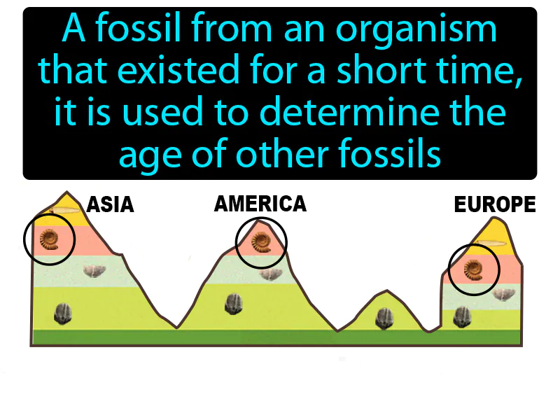 Index Fossil Definition