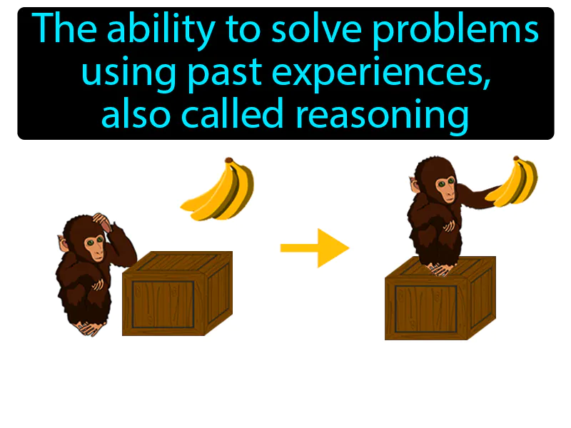 Insight Learning Definition