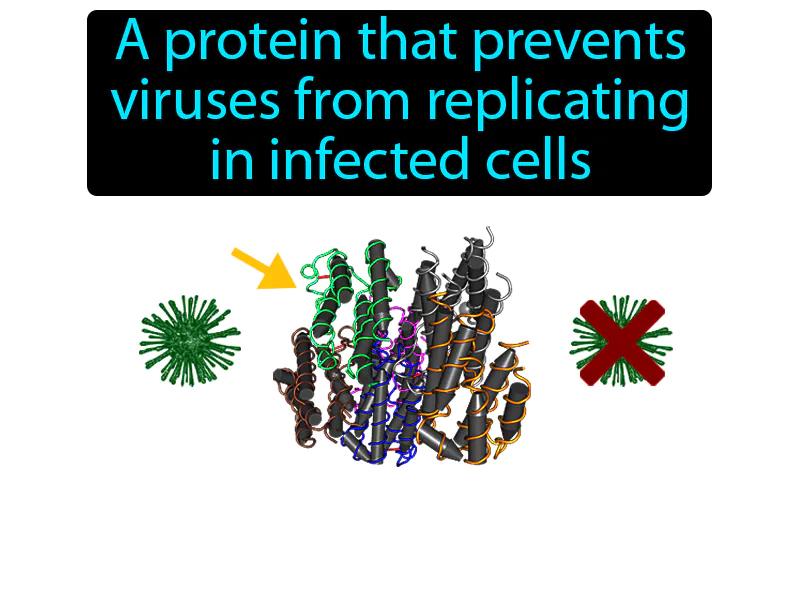 Interferon Definition