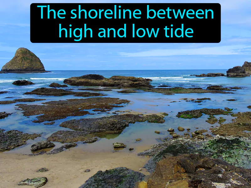 Intertidal Zone Definition