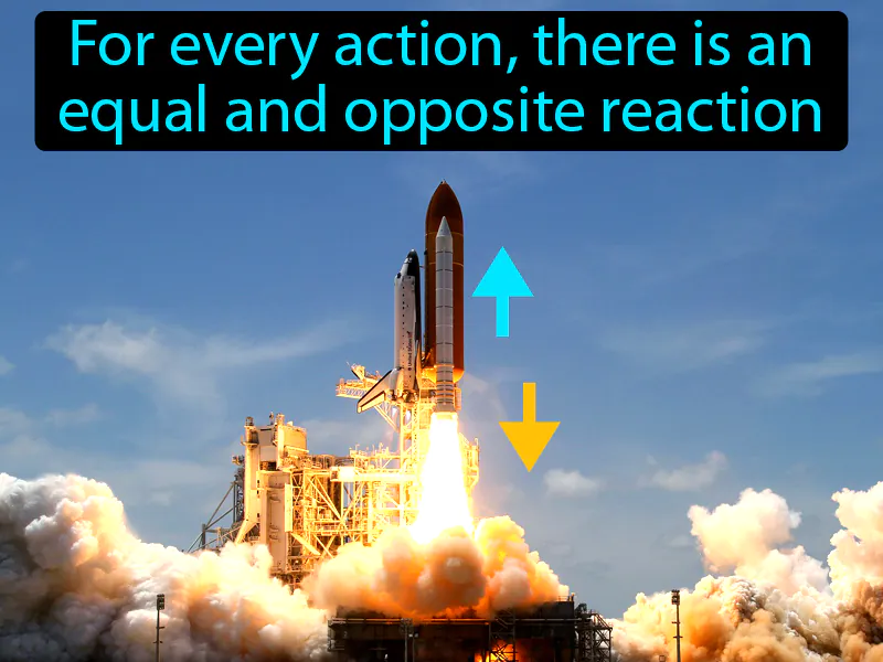 Newtons Third Law Of Motion Definition